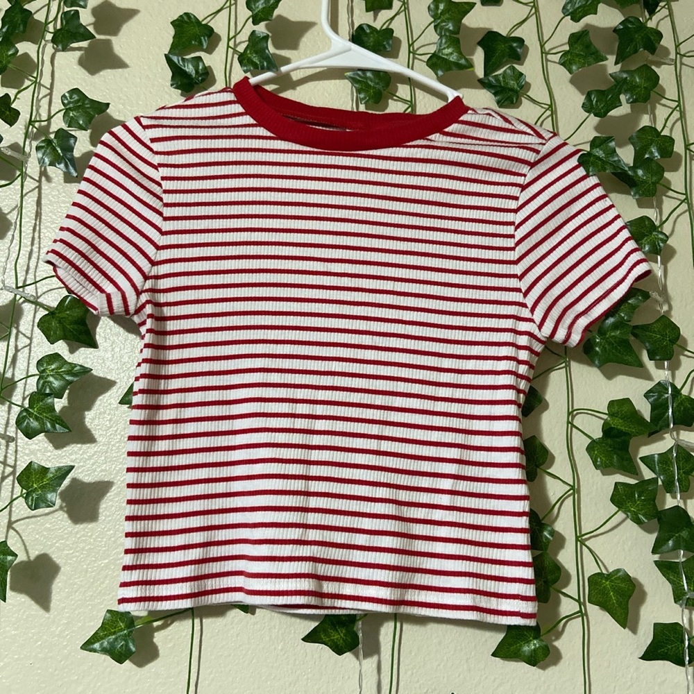 Red and White Striped Crop-Top